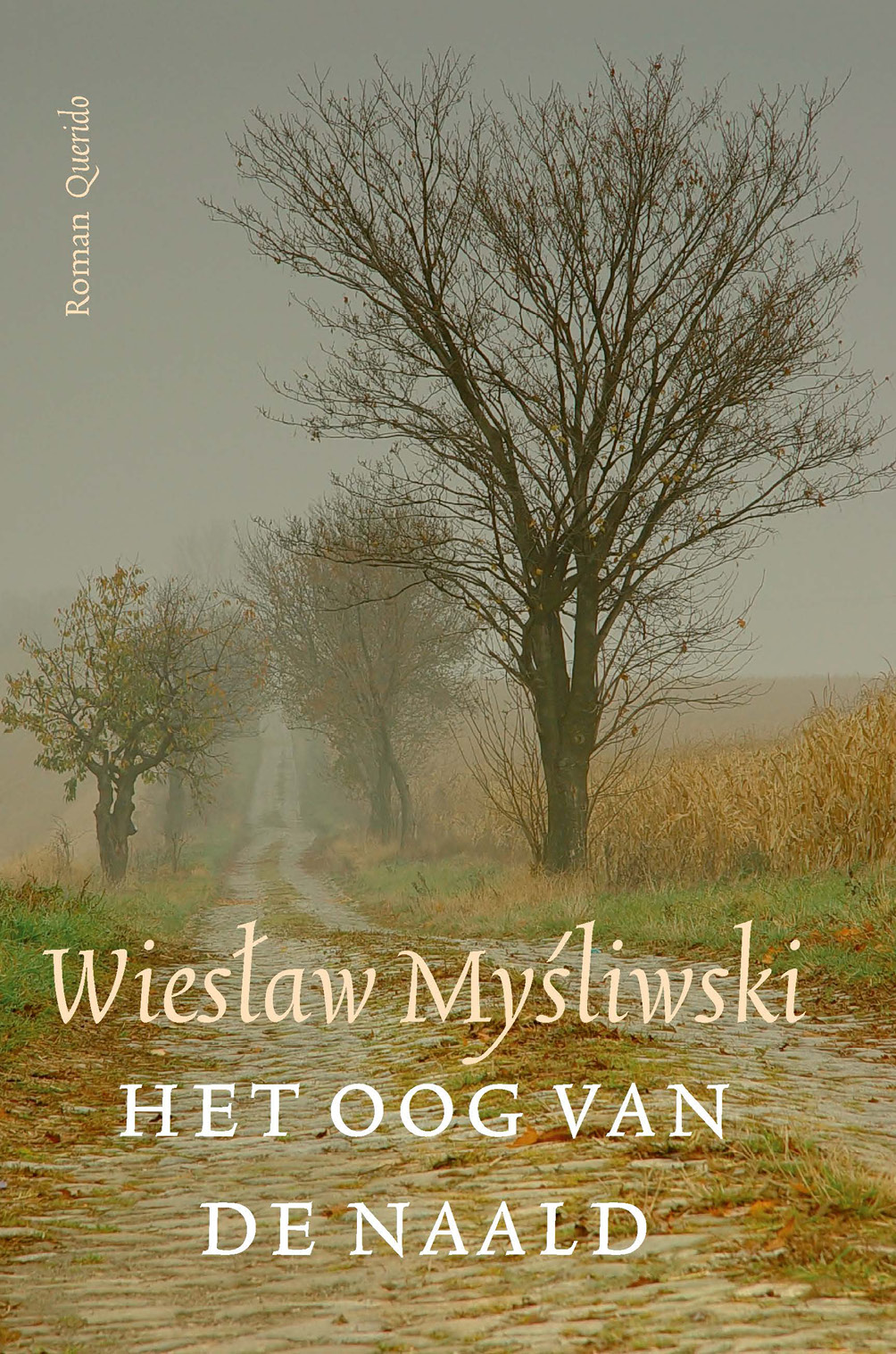 Mysliwski, Wieslaw - Het oog van de naald