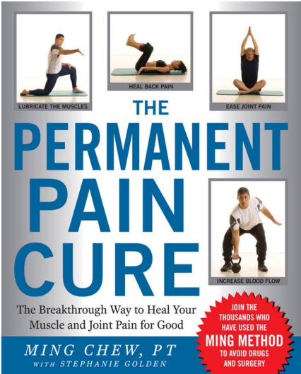 The Permanent Pain Cure by Ming Chewne