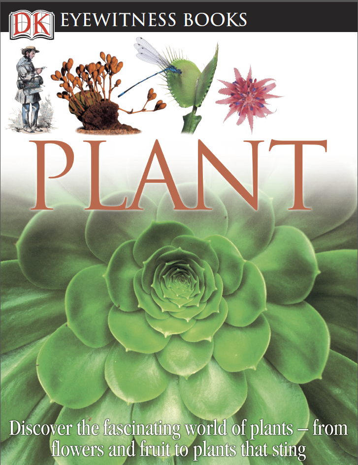 DK Eyewitness Books Plant Discover the Fascinating World of Plants—from Flowers and Fruit to Plants That Sting