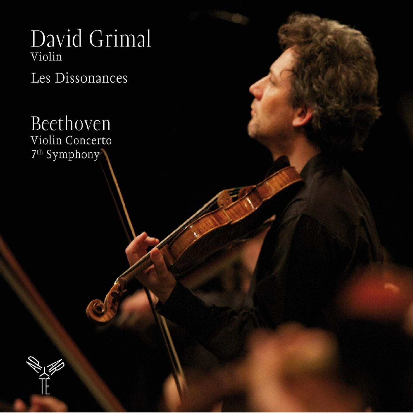David Grimal - Beethoven Concerto for Violin and Orchestra, Op. 61 (2010) 24-96