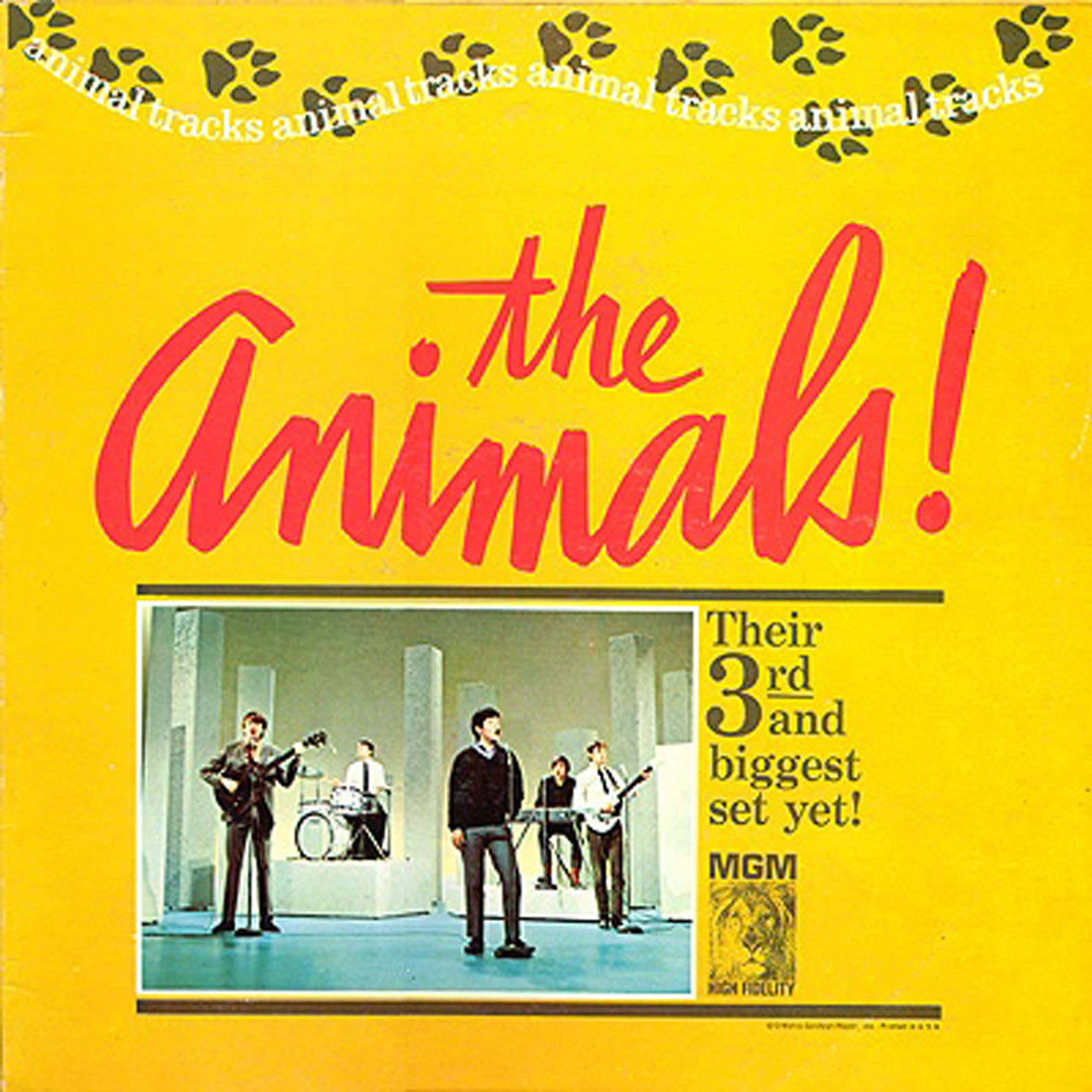 Animals - Animal Tracks - US