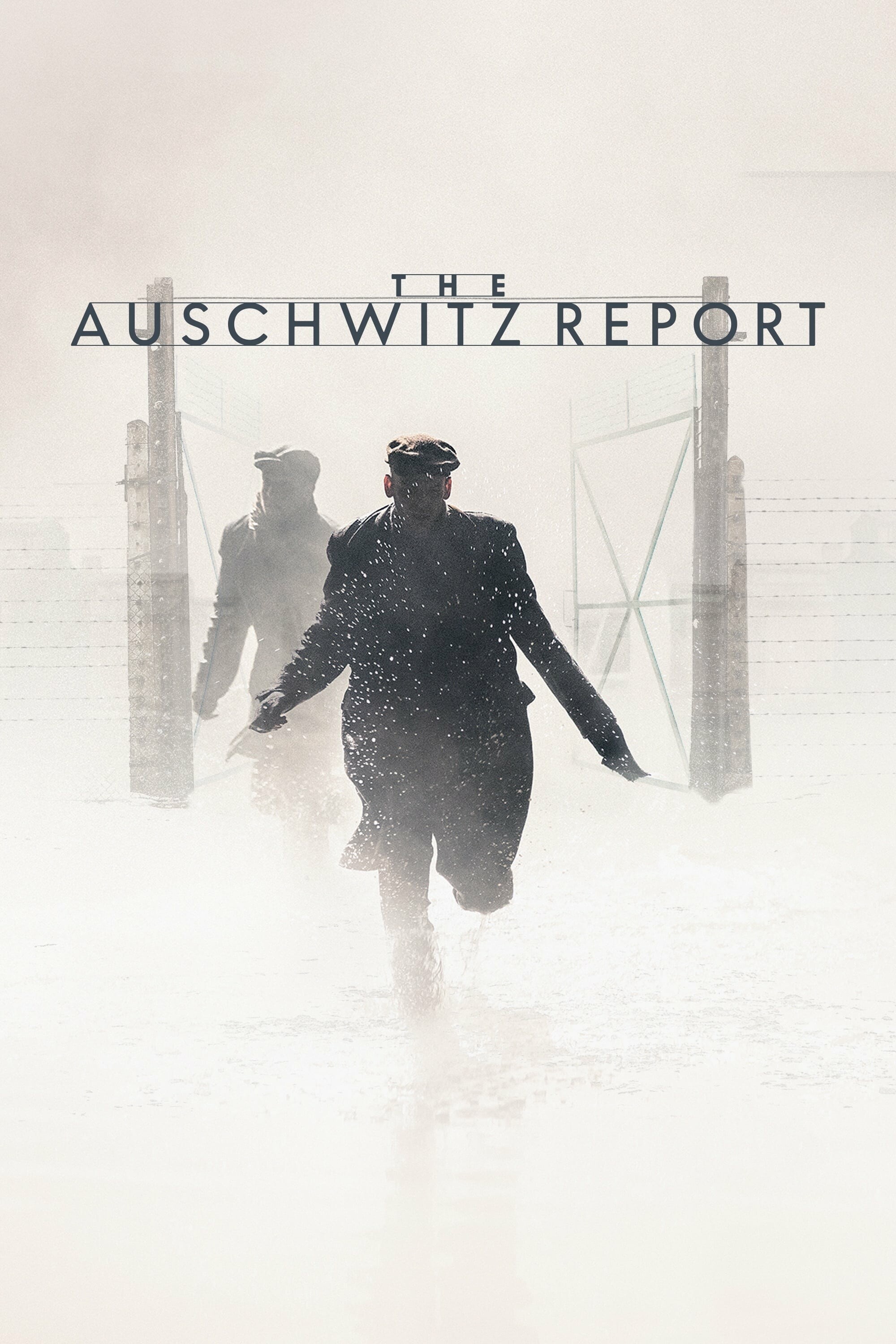 The Auschwitz Report 2021 1080p Remux AVC DTS-HD MA 5 1-playBD