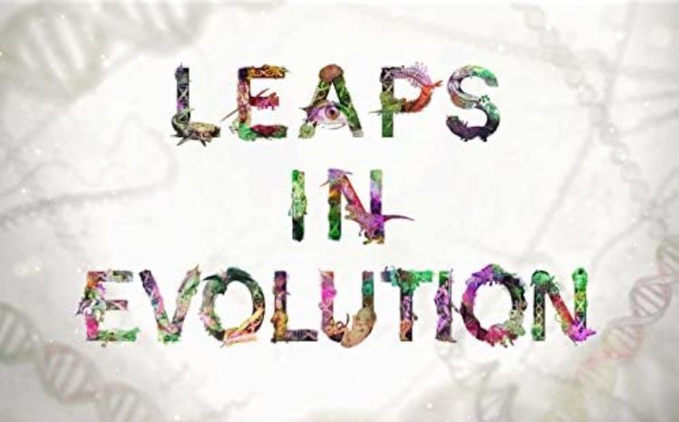 2015 Leaps in Evolution