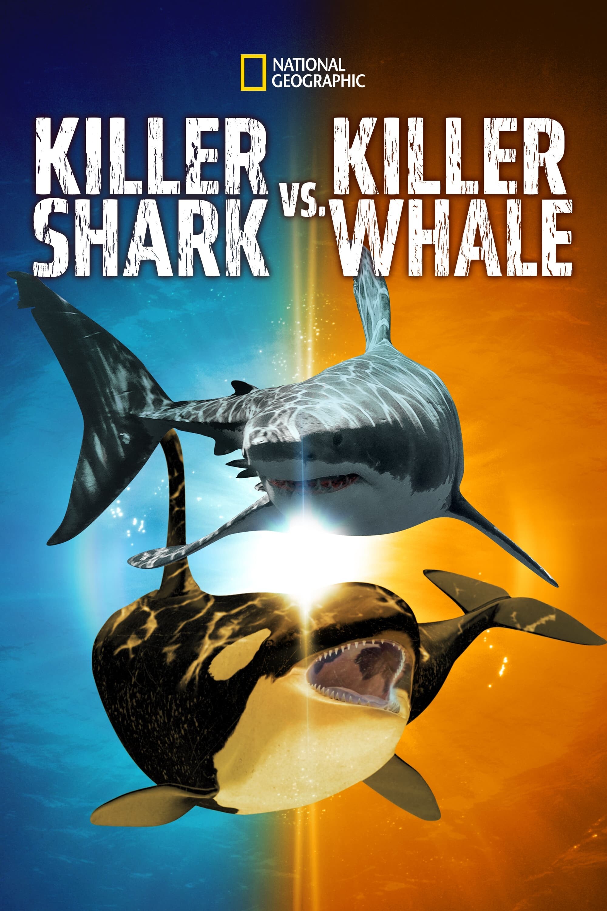 Killer Shark vs Killer Whale 2021 720p DSNP WEB-DL DDP5 1 H 264-playWEB