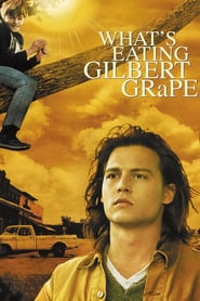 Whats Eating Gilbert Grape 1993 BluRay 1080p DTS-HD MA5 1 x2