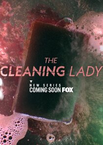The Cleaning Lady S01E05 1080p WEB H264-CAKES