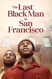 The Last Black Man in San Francisco 2019 BluRay Remux 1080p