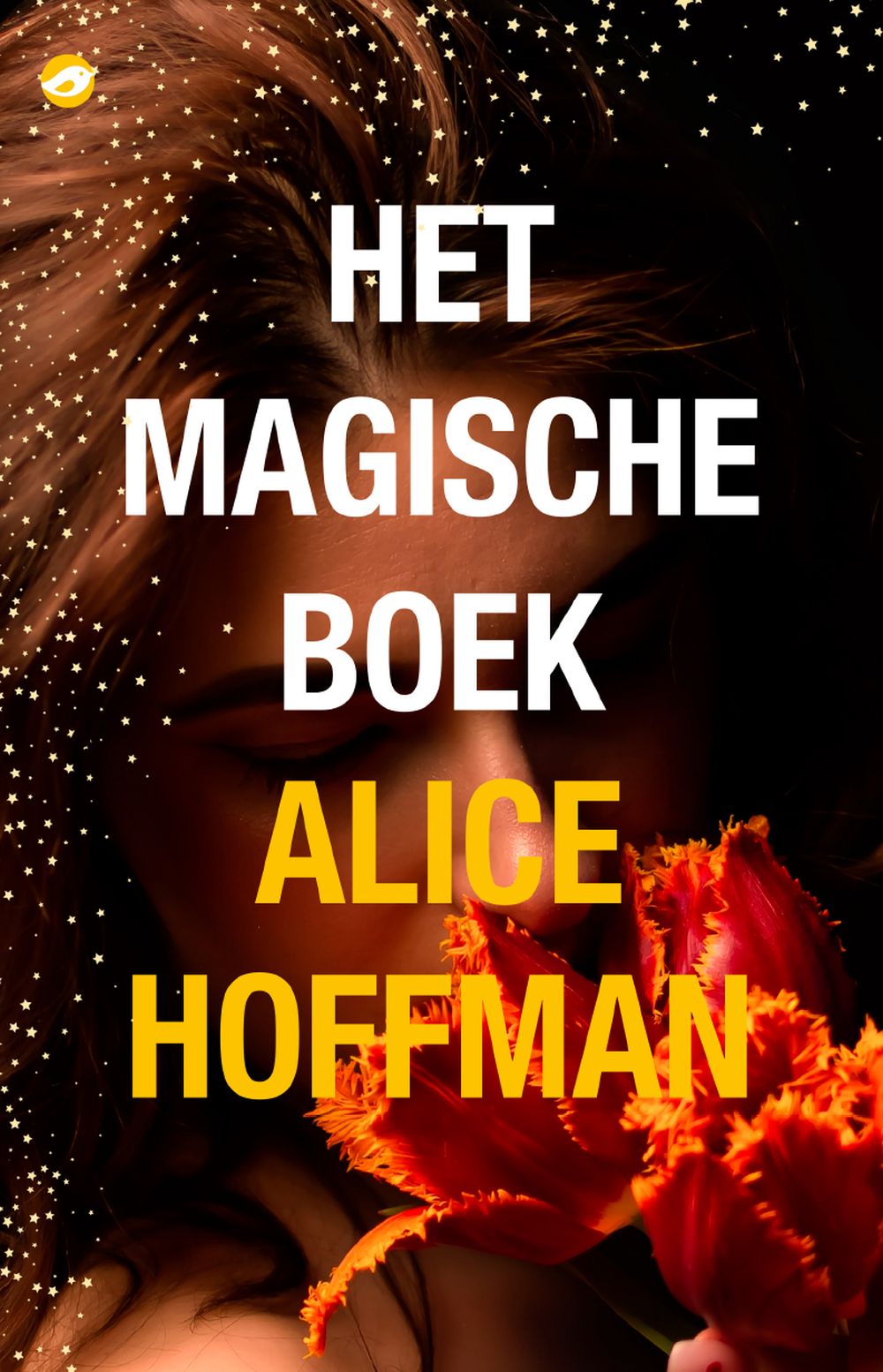 Hoffman, Alice-magische boek, Het