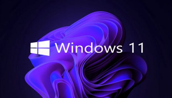 Windows 11 Pro 21H2 22000.527 x64 Lite No-TPM Preactivated