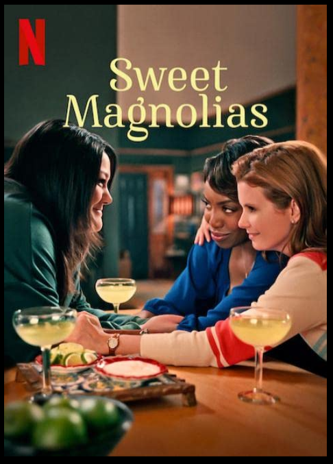 Sweet Magnolias S02E07 1080p Retail NL Subs