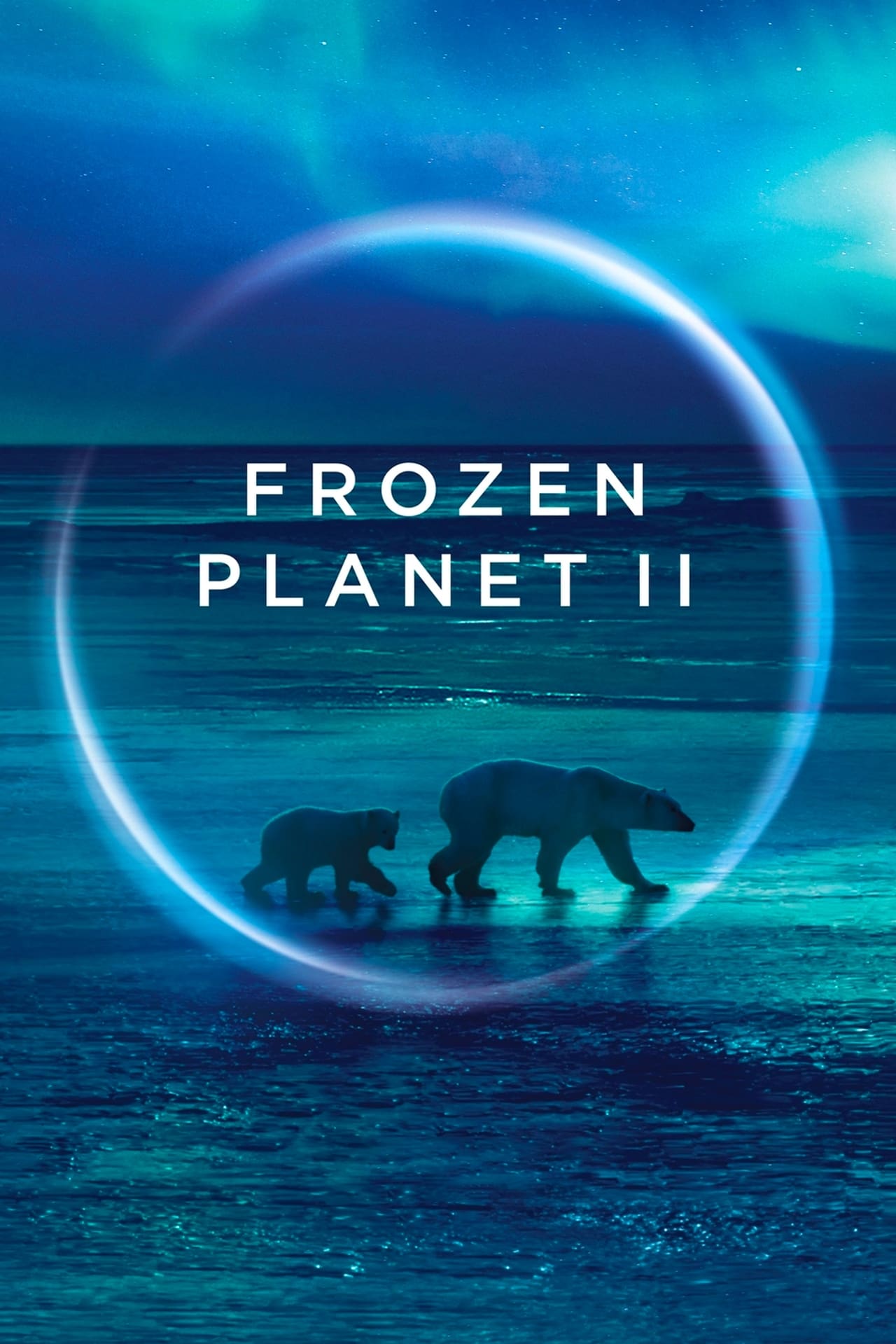 (BBC Earth) Frozen Planet II (2022) - S01E05 2160p UHD BluRay HEVC TrueHD 7 1 Atmos (NLsub)