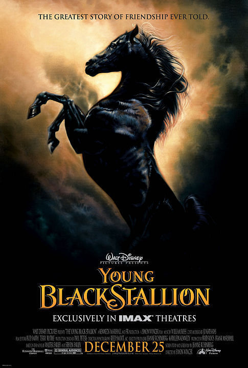 The Young Black Stallion 2003 720p WEB H264-DiMEPiECE