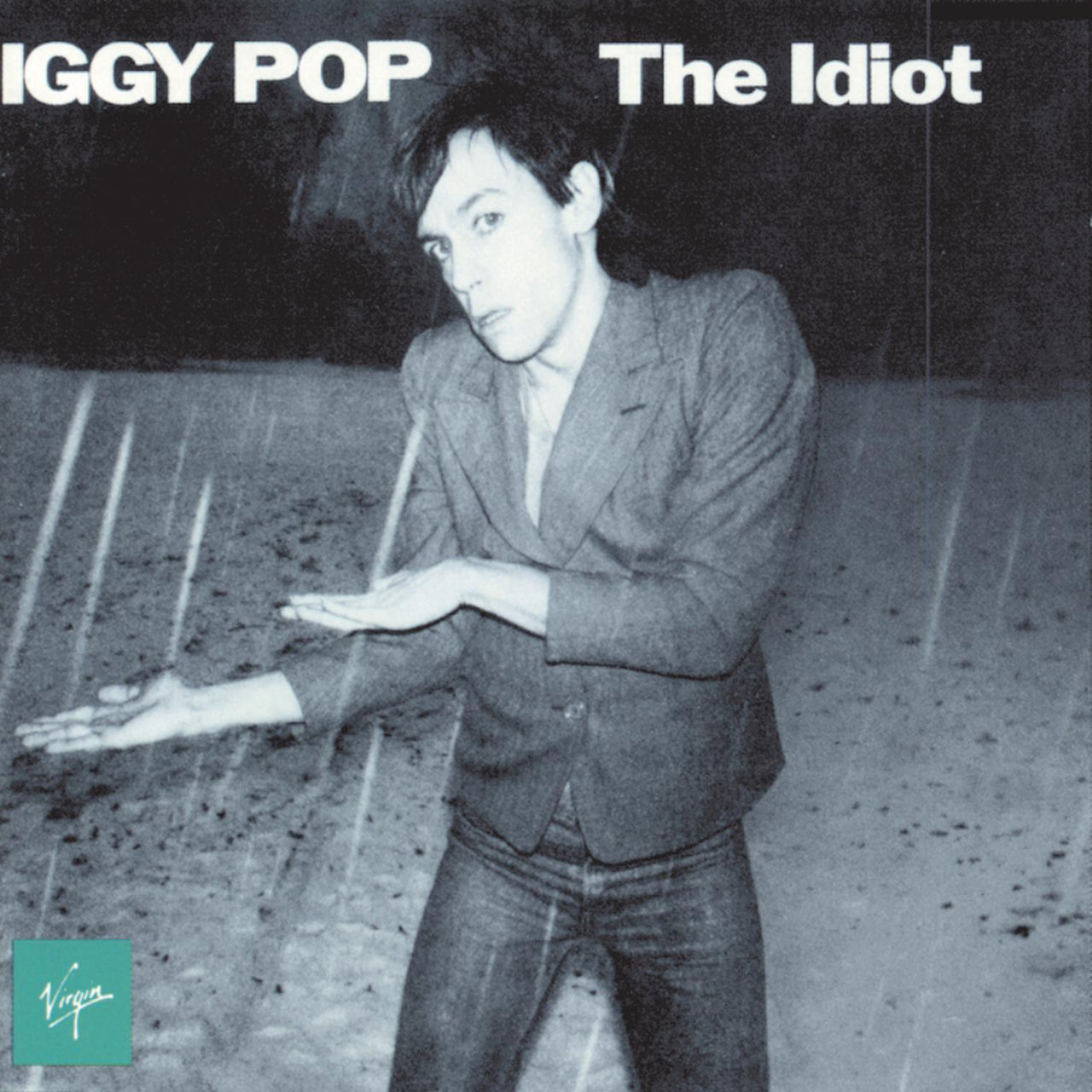 Iggy Pop - The Idiot [1977]