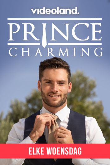 Prince Charming - Seizoen 02 Afl. 11 (2021) - 1080p. x264 MKV - WebRip - NLSubs