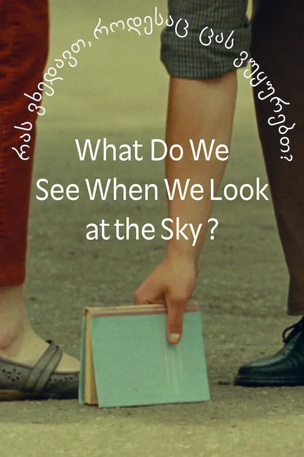 What Do We See When We Look at the Sky 2021 1080p AMZN WEB-DL DDP2 0 H 264-TEPES