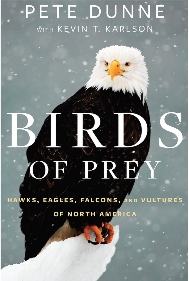 Birds of Prey- Hawks, Eagles, Falcons, and Vultures of North America