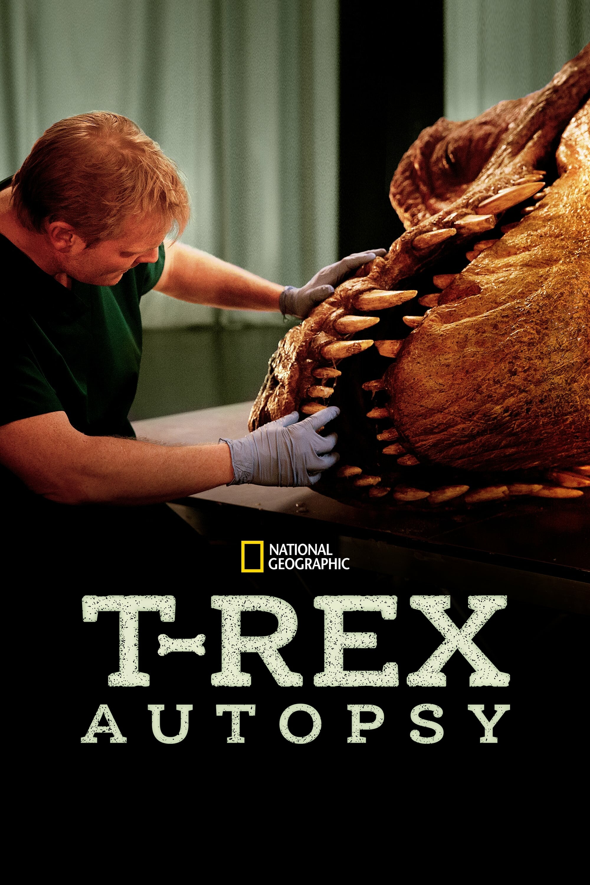 T Rex Autopsy 2015 720p DSNP WEB-DL DDP5 1 H 264-playWEB
