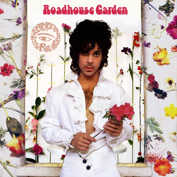 Prince - Roadhouse Garden (1985)