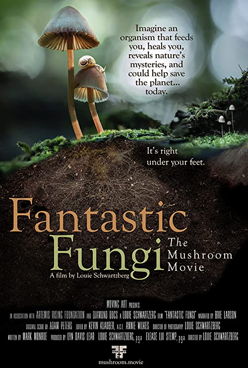 Fantastic Fungi 2019 - 1080p Blu-ray Remux AVC DTS-HD MA 5 1 (Retail NLsub)