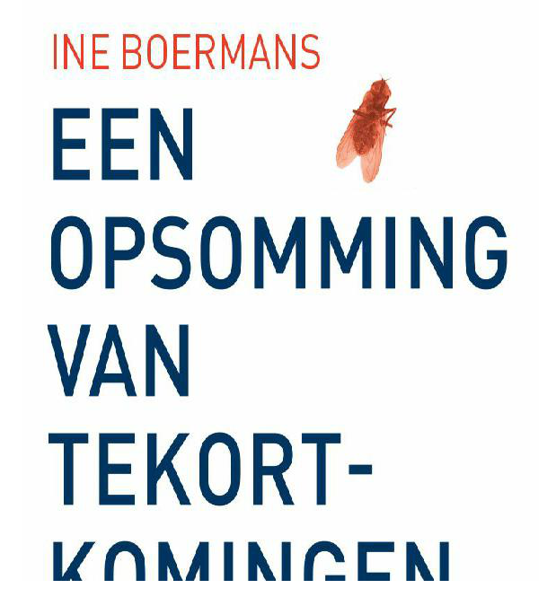 Ine Boermans - Een opsomming van tekortkomingen (02-2021)