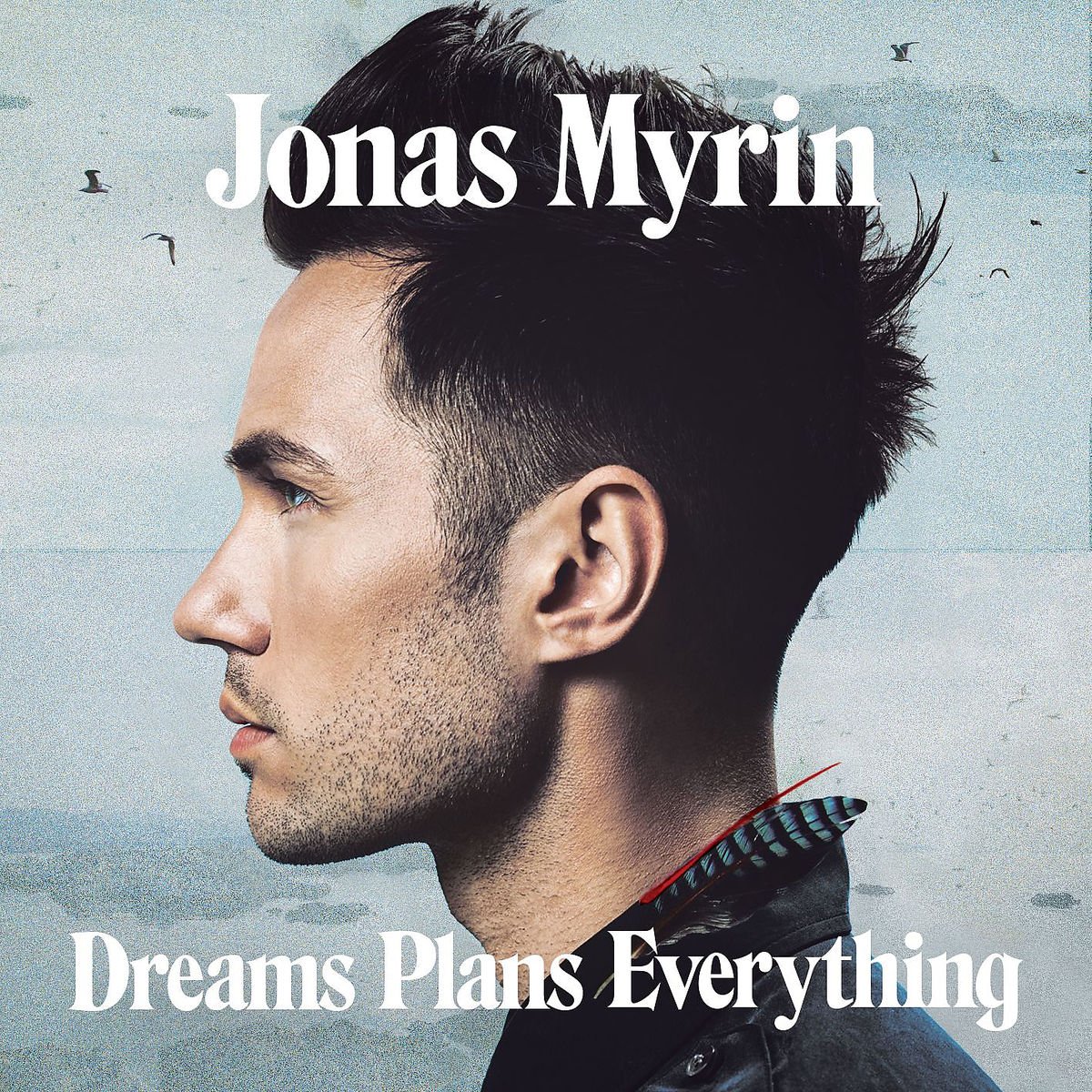 Jonas Myrin-Dreams Plans Everything-2013