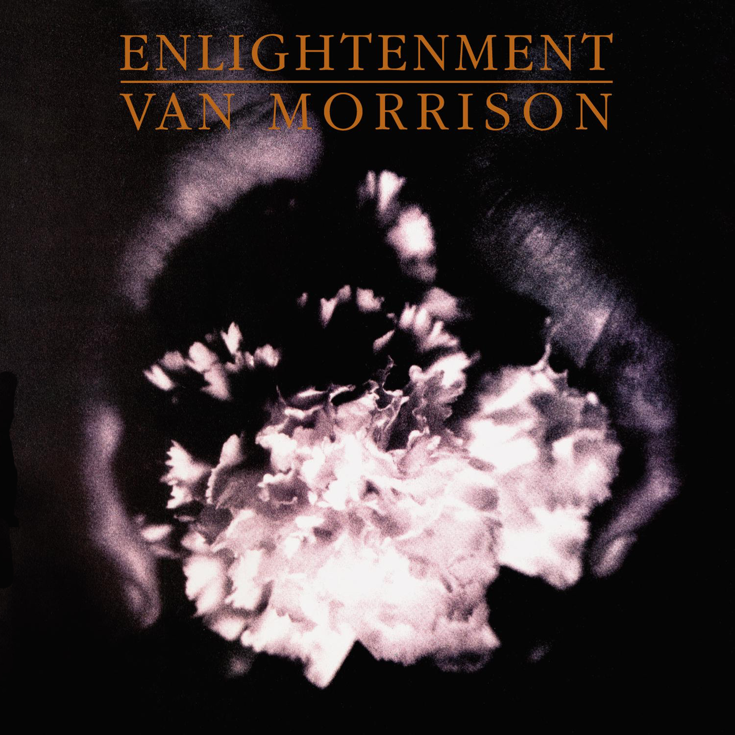Van Morrison 1990 - Enlightenment (2020) 24bit 96Khz FLAC