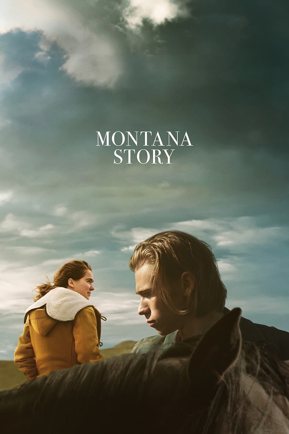 Montana Story 2022 1080p WEB-DL DD5 1 H 264-CMRG