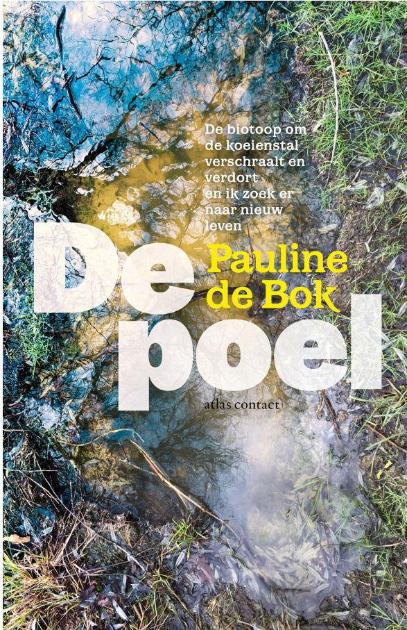 Pauline de Bok - De poel (04-2021)