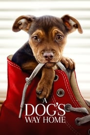 A Dogs Way Home 2019 HDR 2160p WEB H265-SLOT