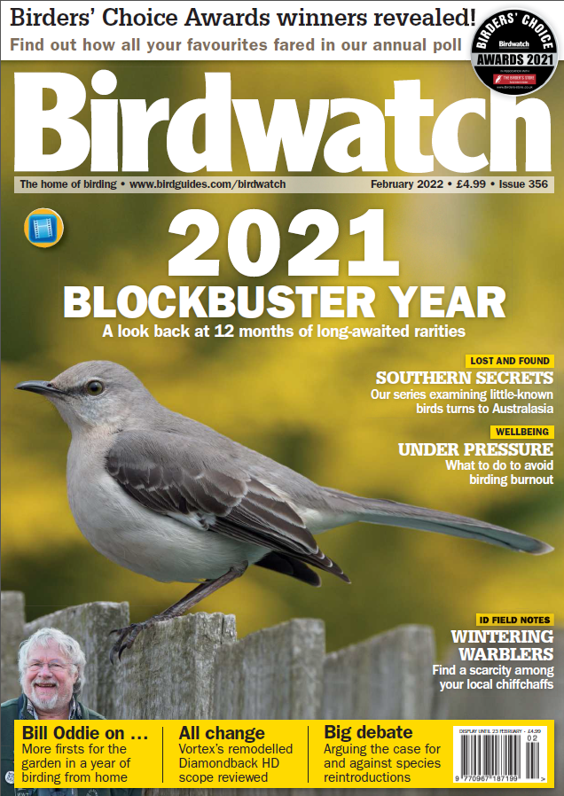 Birdwatch UK-February 2022