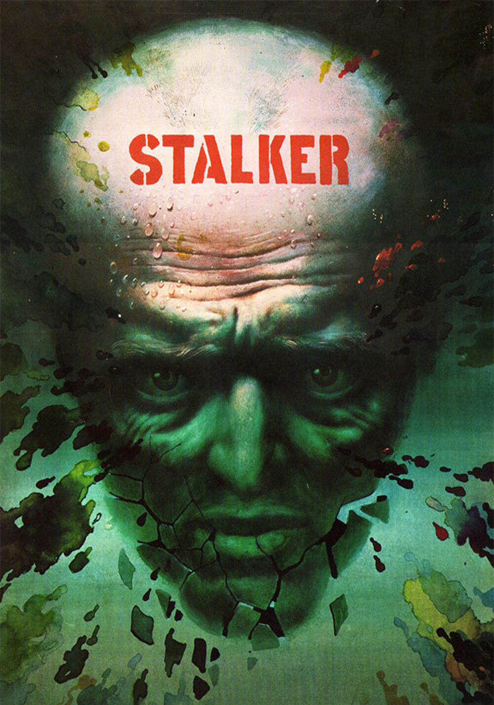 Stalker 1979 1080p BluRay REMUX AVC FLAC 1 0-playBD