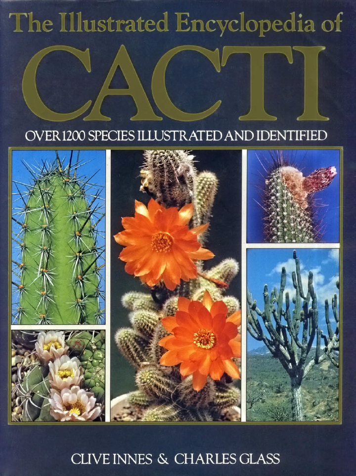 The Illustrated Encyclopedia Of Cacti
