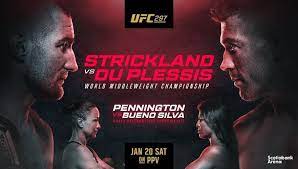 UFC 297 Strickland Vs Du Plessis Nederlands commentaar