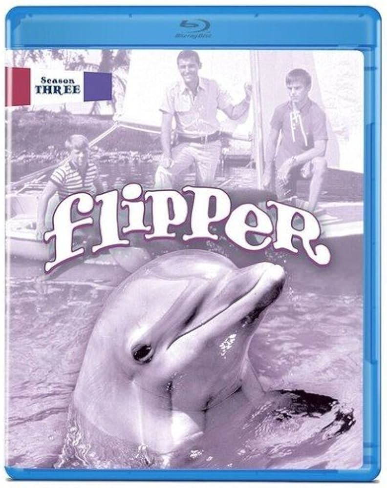 Flipper (1964-1967) - Seizoen 3 - Aflevering 21 t/m 28 - 1080p BluRay REMUX