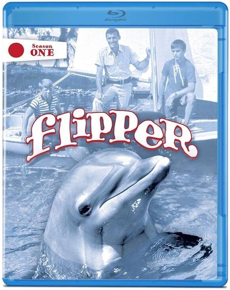 Flipper (1964-1967) - Seizoen 1 - Aflevering 11 t/m 20 - 1080p BluRay REMUX