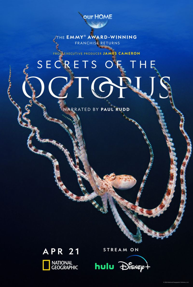 Secrets of the Octopus (2024) HDR 2160p WEB H265 DDP5 1 (Retail NLsub)