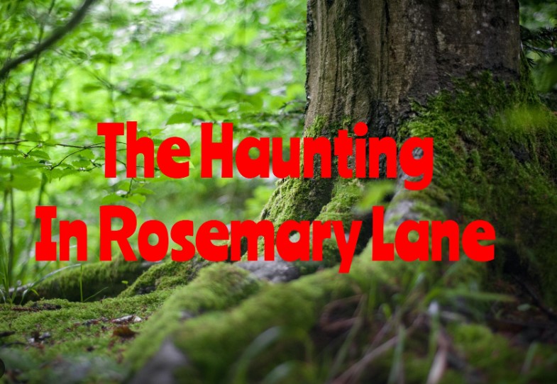 The Haunting In Rosemary Lane 2024 1080p WEB-DL DDP2 0 H 264-GP-M-Eng