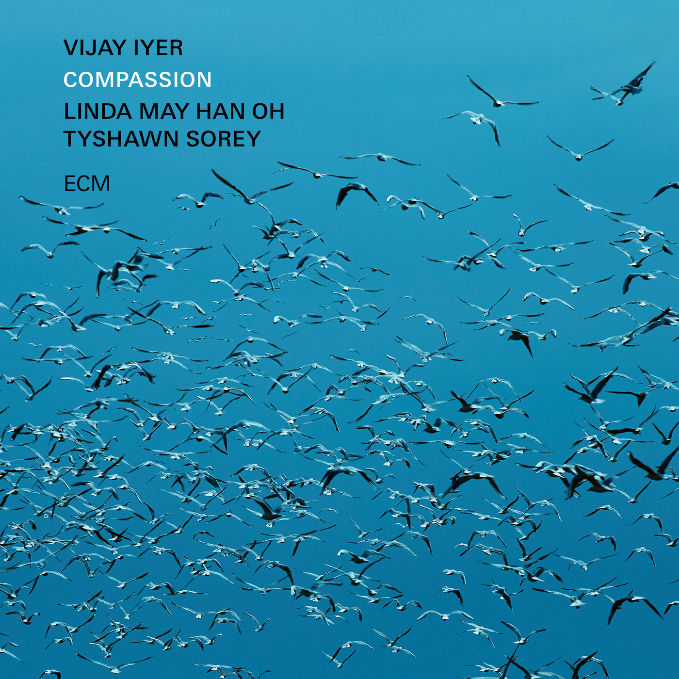 Vijay Iyer Trio - Compassion 24-96