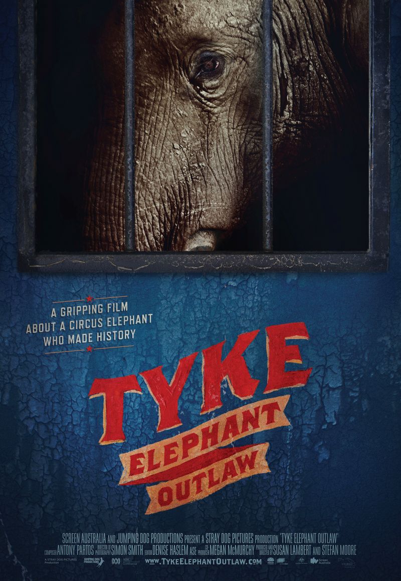 Tyke Elephant Outlaw (2015) 1080p WEB-DL DDP2 0 x264 (Retail NLsub)