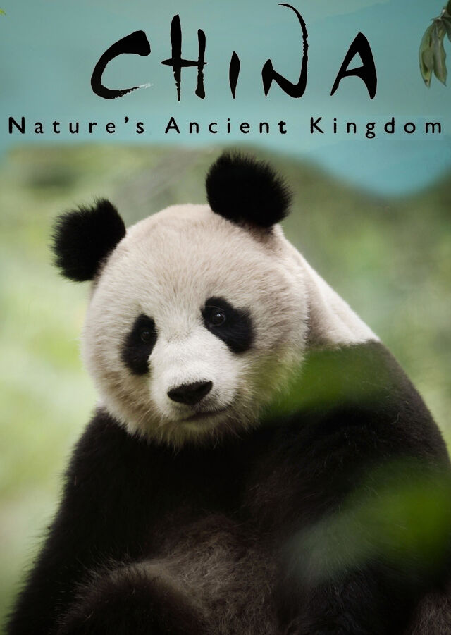 BBC China Het Oude Koninkrijk Van De Natuur S01 FLEMISH NLSUBBED WEB x264-DDF