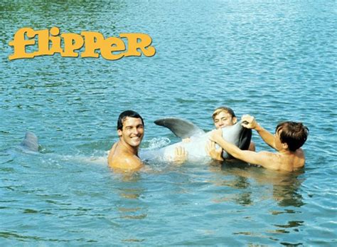 Flipper (1964-1967) Seizoen 3 Aflevering 11-20