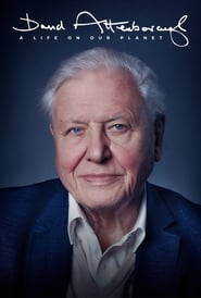 David Attenborough A Life on Our Planet 2020 2160p NF WEBRip DDP5 1 x265-NTb