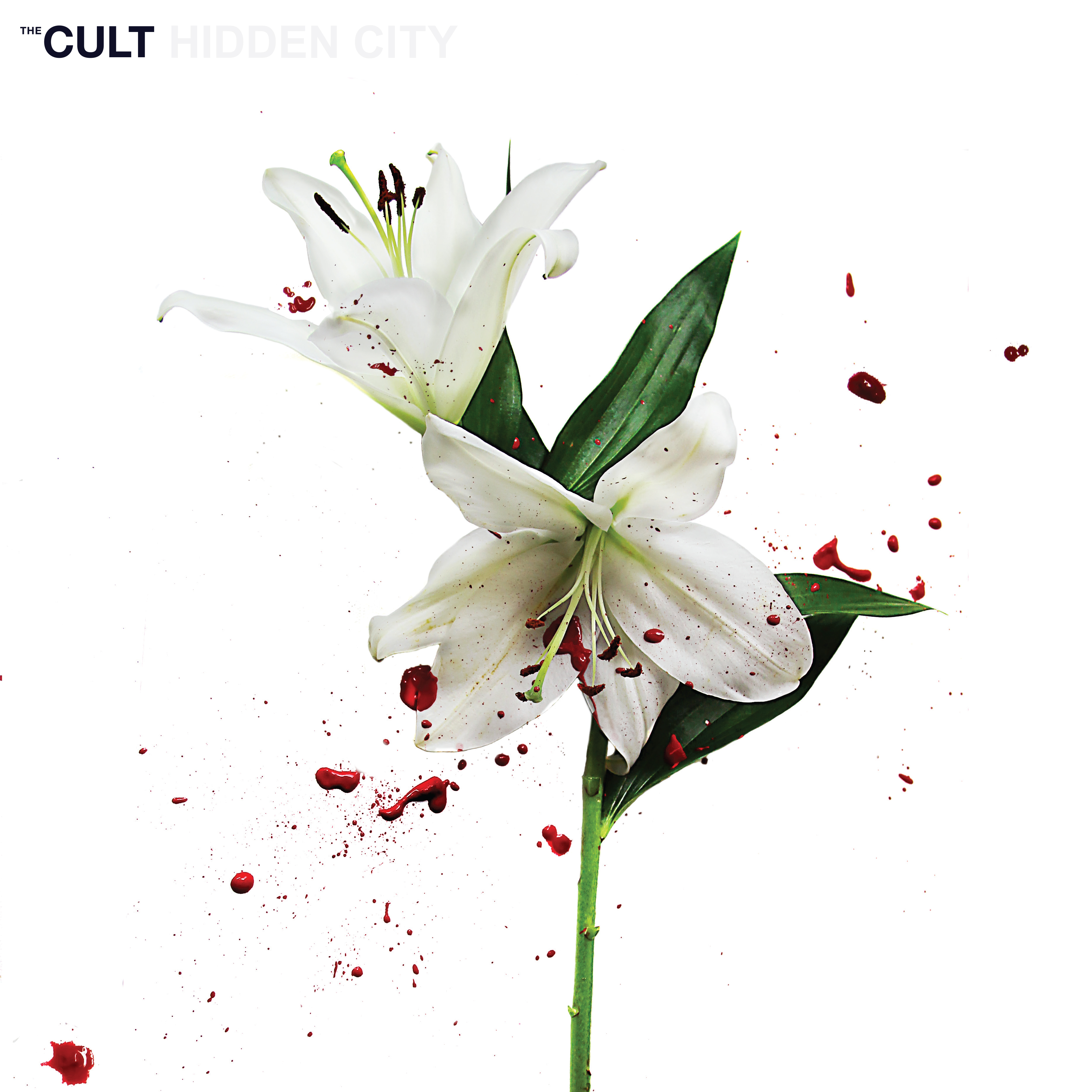 The Cult - Discography (1984-2022)