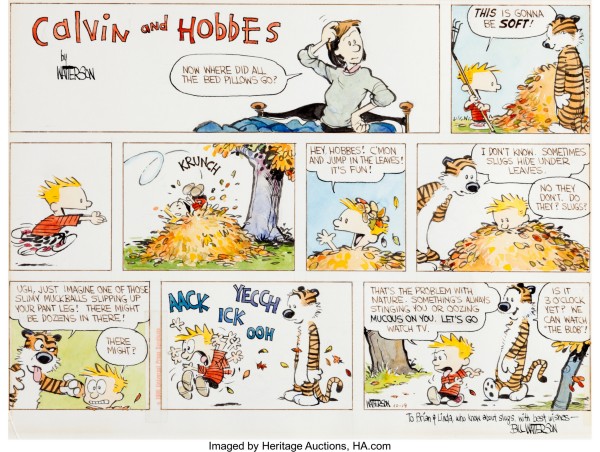 Calvin and Hobbes strips PDF Engelstalig