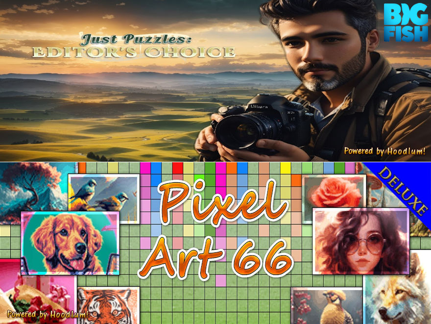 Pixel Art 66 DeLuxe - NL